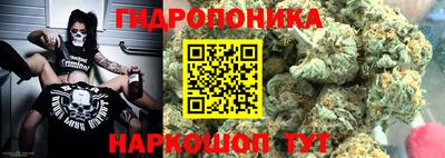 скорость Канаш